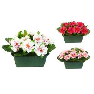 Jardinière d'azalées - Plastique - 18 x H 16 cm - Différents coloris