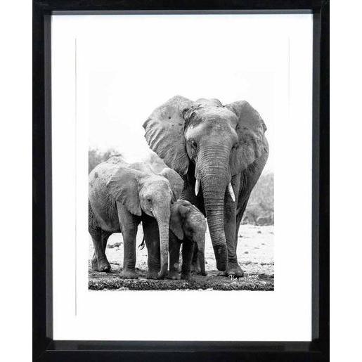 Cadre Photo Noir Blanc Gris Images Encadrees La Foir Fouille