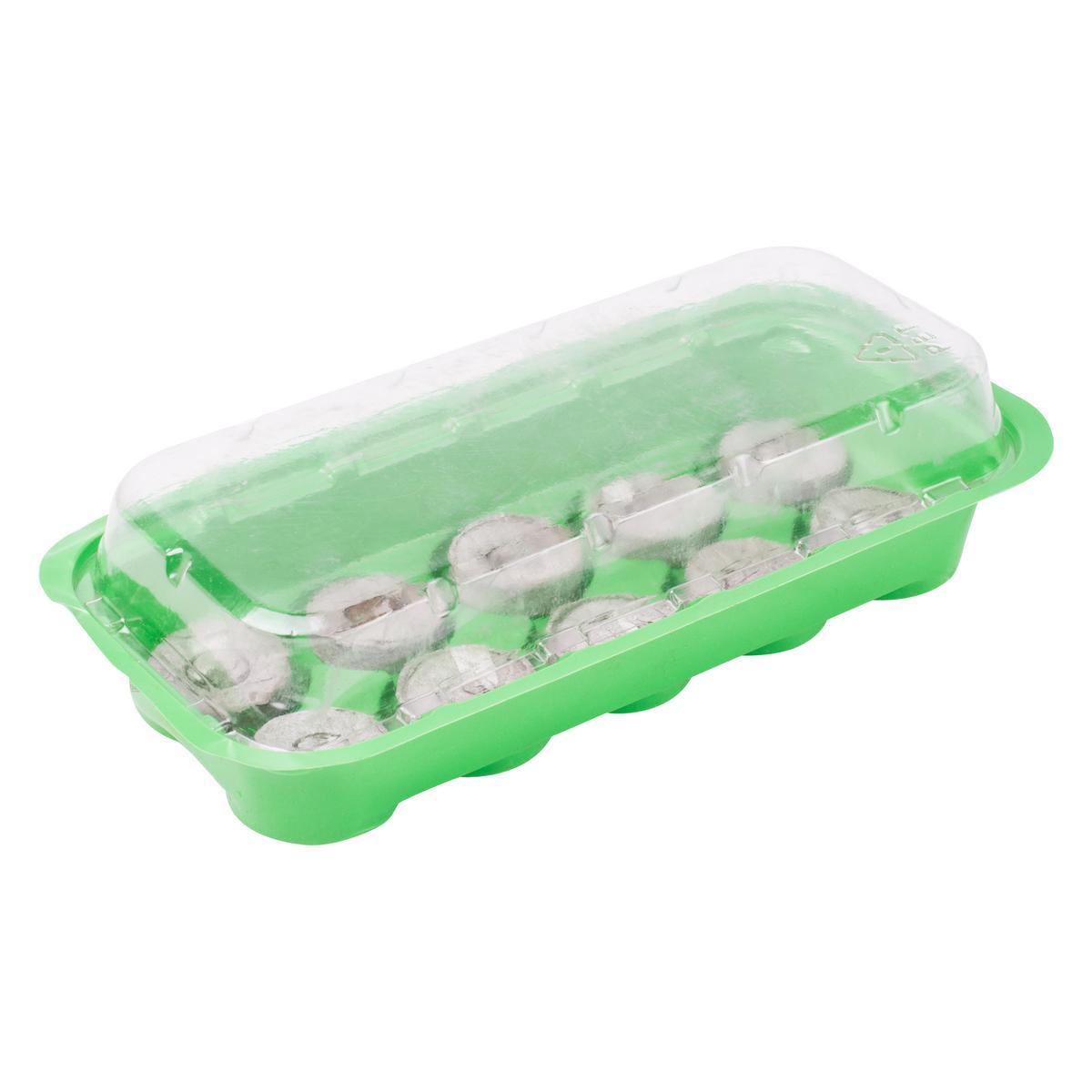 Bac à semis avec 10 pastilles - Plastique et Coco compressé - 25 x 13 x H 4 cm - Vert Bac à semis avec 10 pastilles - Plastique et Coco compressé - 25 x 13 x H 4 cm - Vert