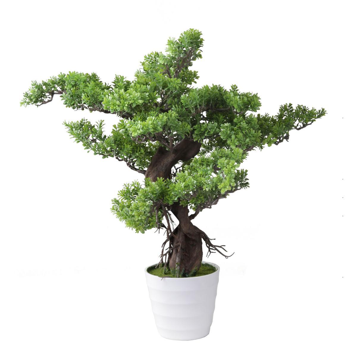 Bonsaï en pot plastique blanc - H 84 cm Bonsaï en pot plastique blanc - H 84 cm
