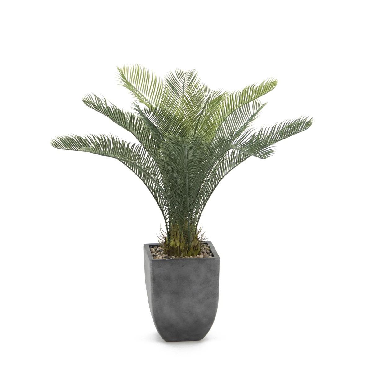 Cycas en pot déco gris - H 96 cm