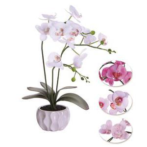 4 Orchidées en pot - Plastique, Céramique et Polyester - Diam 11 x 42 cm - Blanc Rose Violet
