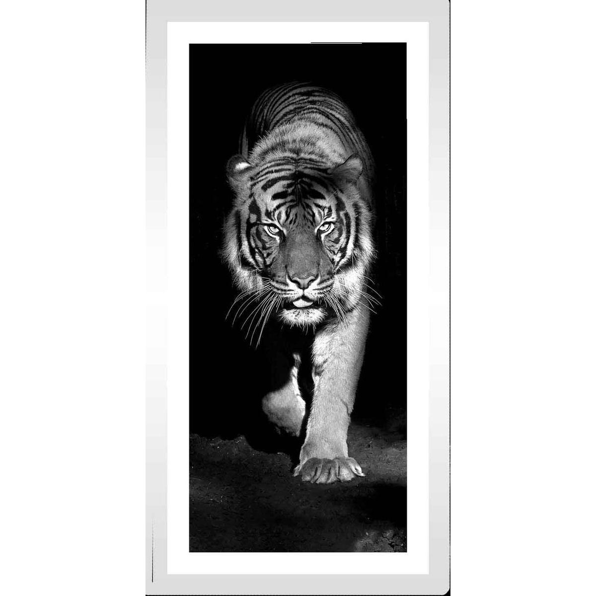 Tableau Tigre X 40 Cm Images Encadrees La Foir Fouille Tableau Tigre X 40 Cm Images Encadrees La Foir Fouille