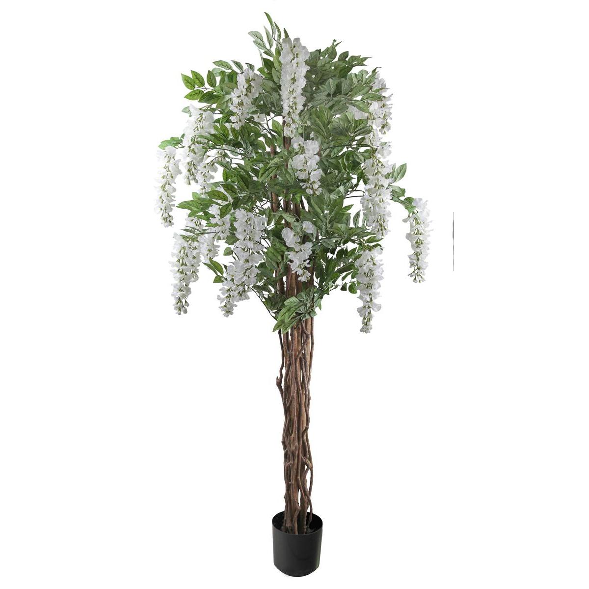 Glycine troncs tressés H 180 cm - Blanc Glycine troncs tressés H 180 cm - Blanc