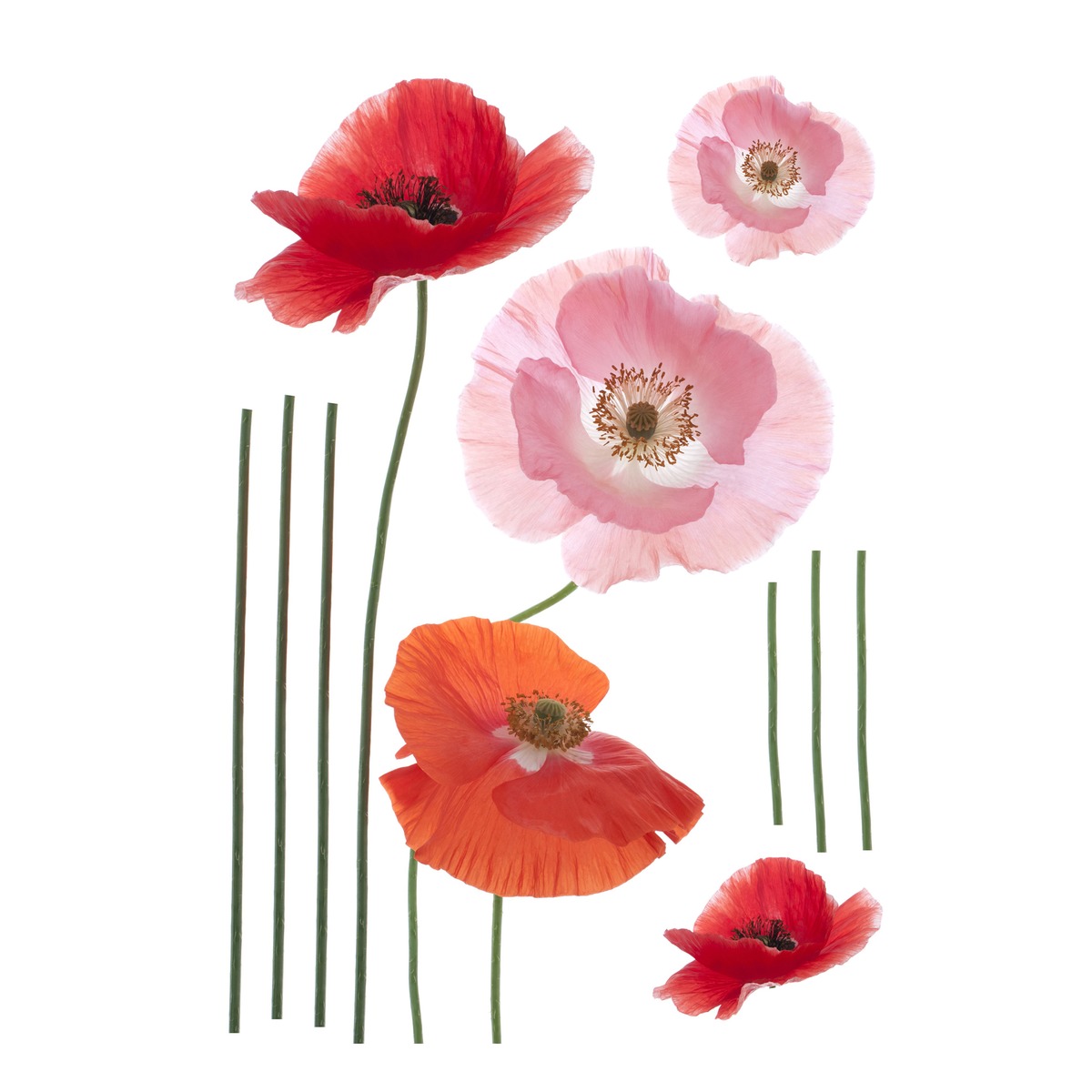 Sticker coloré Fleurs - 50 x 70 cm Sticker coloré Fleurs - 50 x 70 cm
