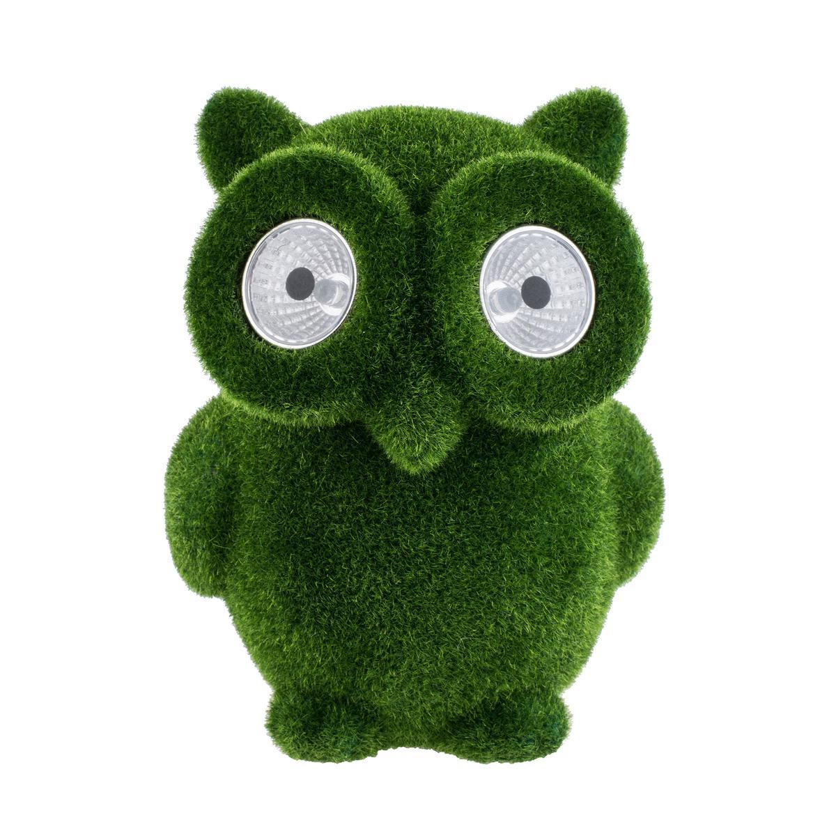 Hibou pelouse Hibou pelouse