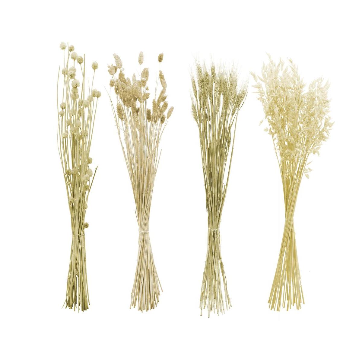 Fagots d`herbes séchées - H 80 cm - Beige Fagots d`herbes séchées - H 80 cm - Beige