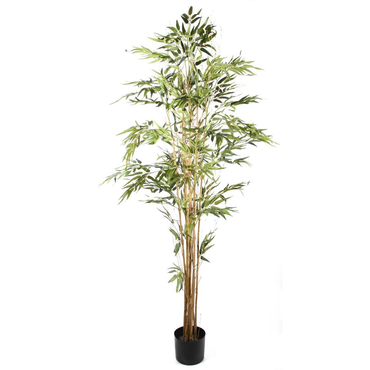 Bambou 9 troncs - H 180 cm