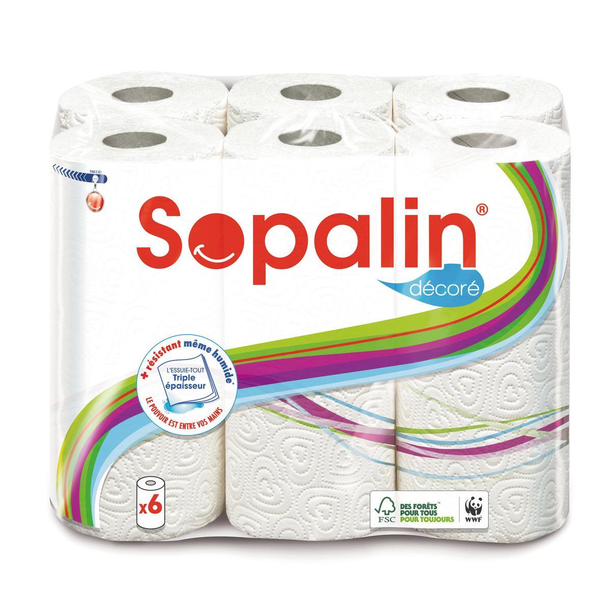 Essuie Tout Sopalin Soin Du Corps Et Hygiene La Foir Fouille Essuie Tout Sopalin Soin Du Corps Et Hygiene La Foir Fouille