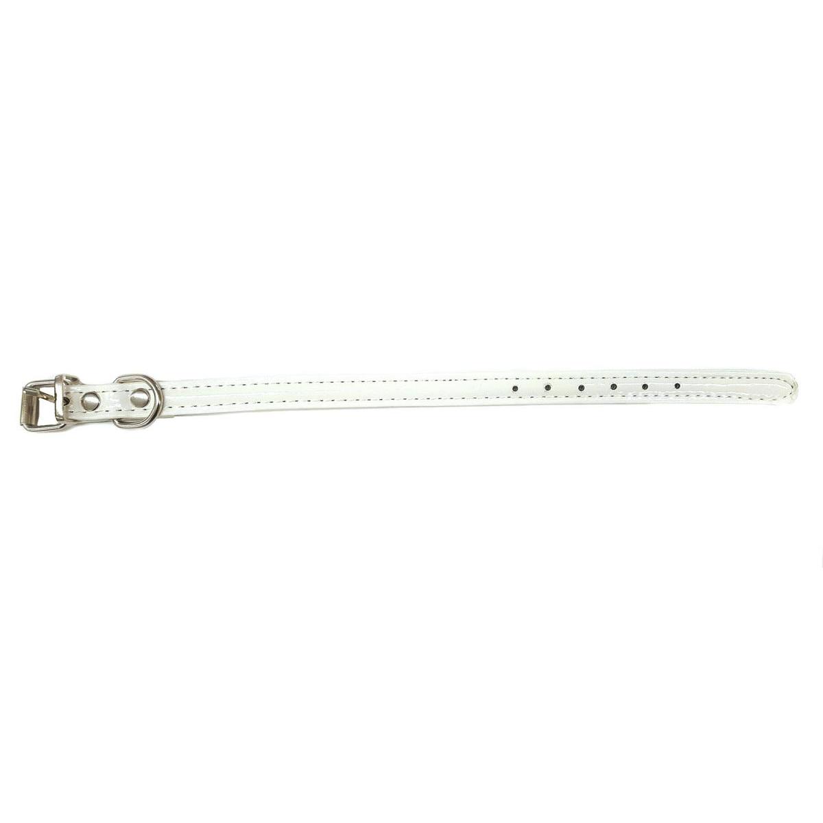 Collier pour chien effet brillant - L 30 cm Collier pour chien effet brillant - L 30 cm