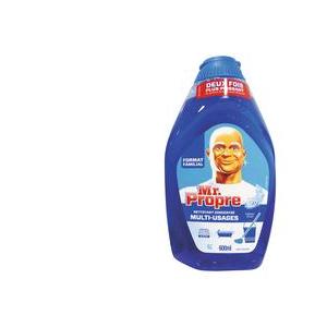 Gel Mr Propre Fraîcheur d'hiver