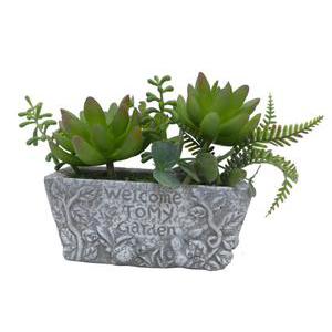 Mini jardin succulente - Ciment, plastique et polyester - 14 x 6 x 16 cm - Vert