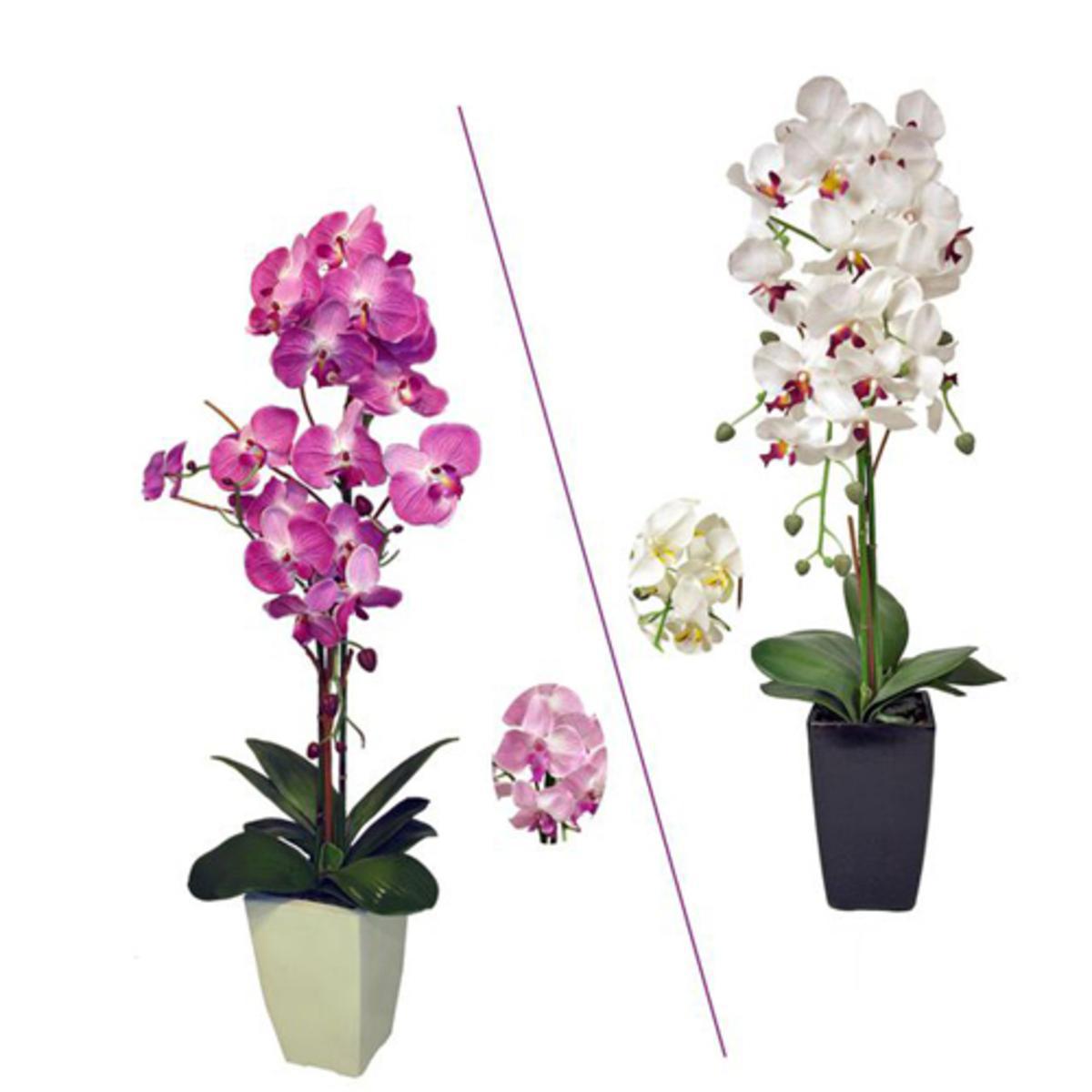 Orchidée en pot - Plastique et polyester - Hauteur 80 cm - Noir Blanc Orchidée en pot - Plastique et polyester - Hauteur 80 cm - Noir Blanc