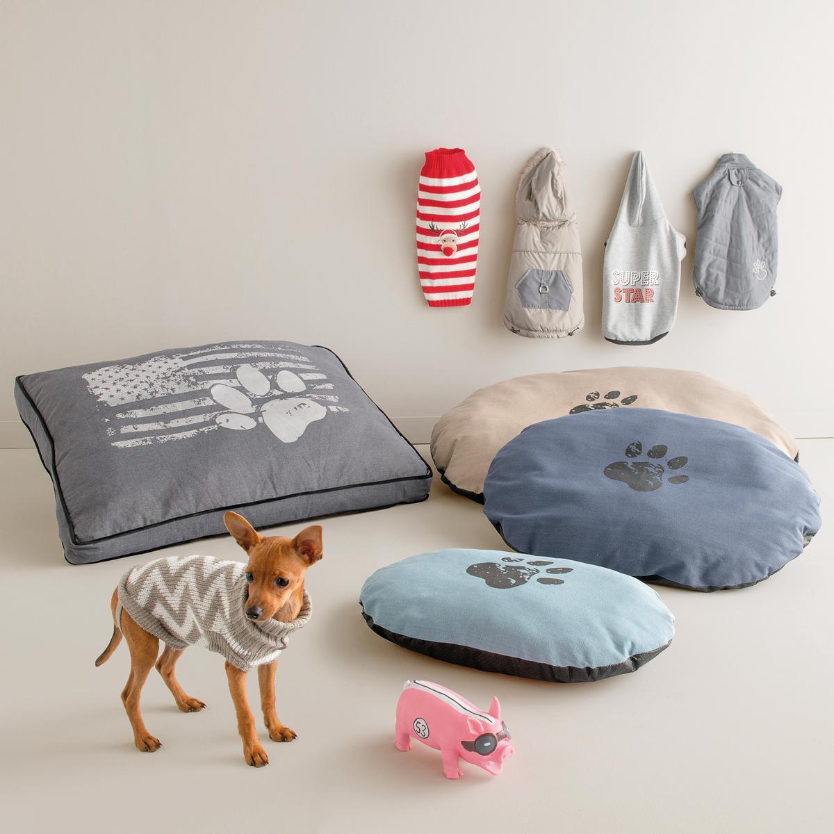 Chaussette on sale chien gifi