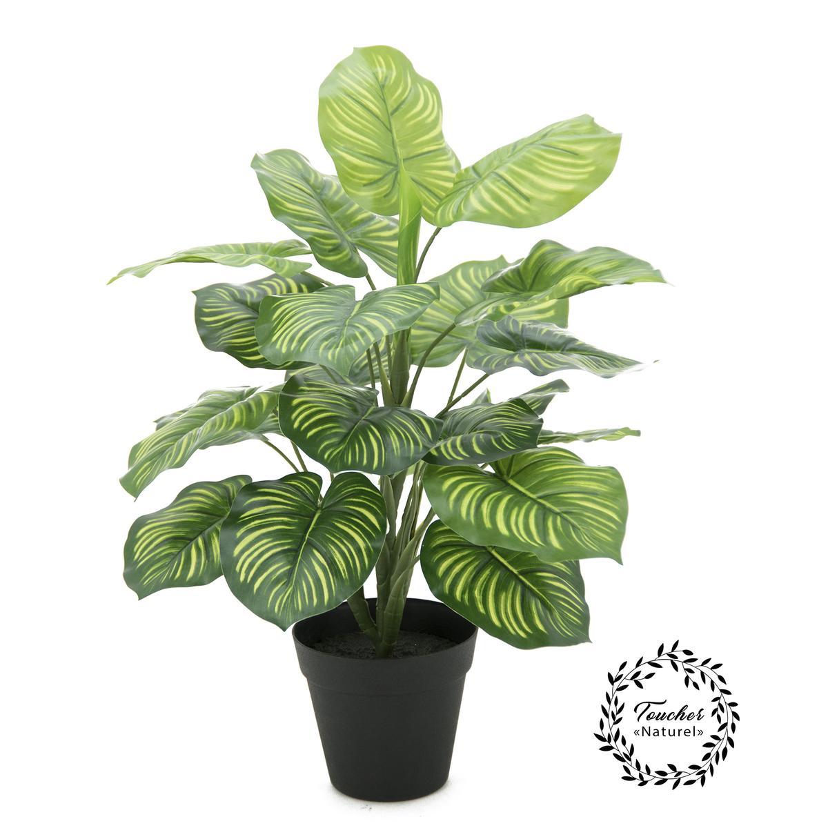 Plante verte toucher naturel - H 45 cm - Vert