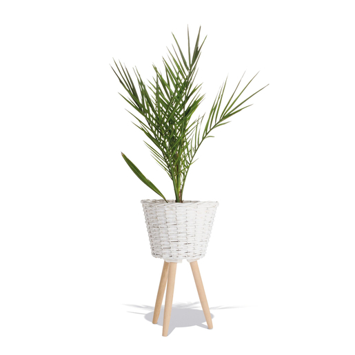 Pot Sur Pieds O 25 X H 41 Cm Differents Modeles Moorea