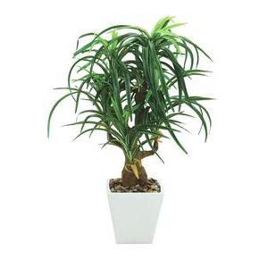 Dracena en pot céramique - H 63 cm - Vert