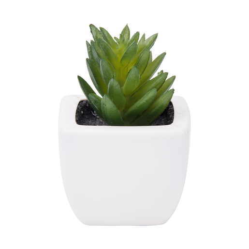 Graminées artificielles - PVC - 5 x 5 x H 9 cm - Vert et violet Graminées artificielles - PVC - 5 x 5 x H 9 cm - Vert et violet