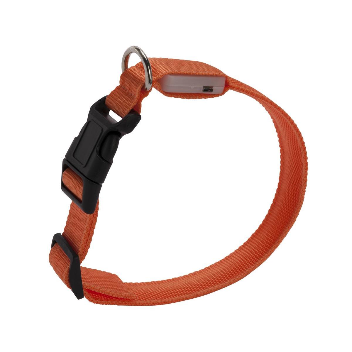 Collier lumineux à LED pour chien - 45 à 53 x 2,5 cm Collier lumineux à LED pour chien - 45 à 53 x 2,5 cm