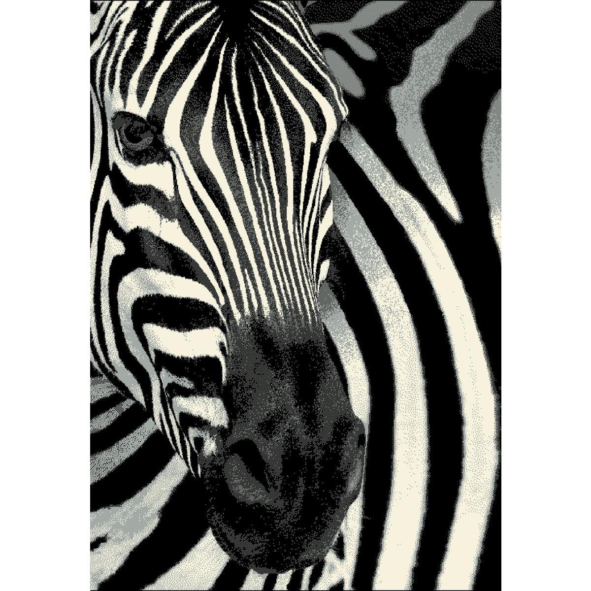 Tapis Zebre Polypropylene Noir Blanc Tapis Deco La Foir Fouille