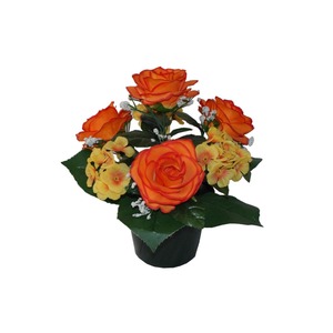 Potée roses + hortensias - Hauteur 30 cm - Orange feu