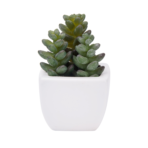 Graminées artificielles - PVC - 5 x 5 x H 9 cm - Vert Graminées artificielles - PVC - 5 x 5 x H 9 cm - Vert