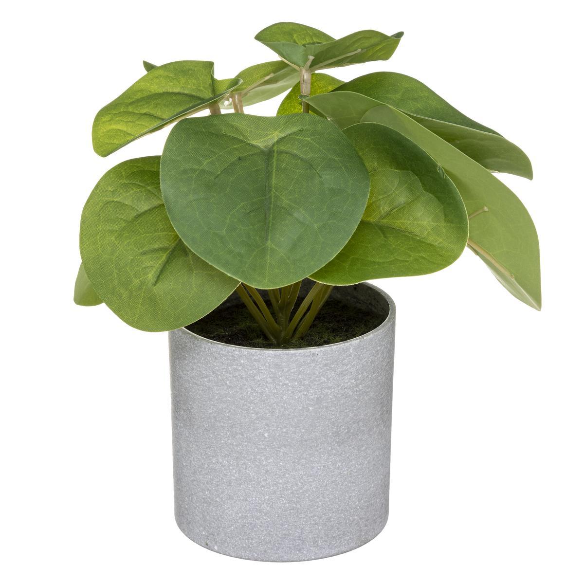 Plante artificielle en pot - H. 18 cm - ATMOSPHERA