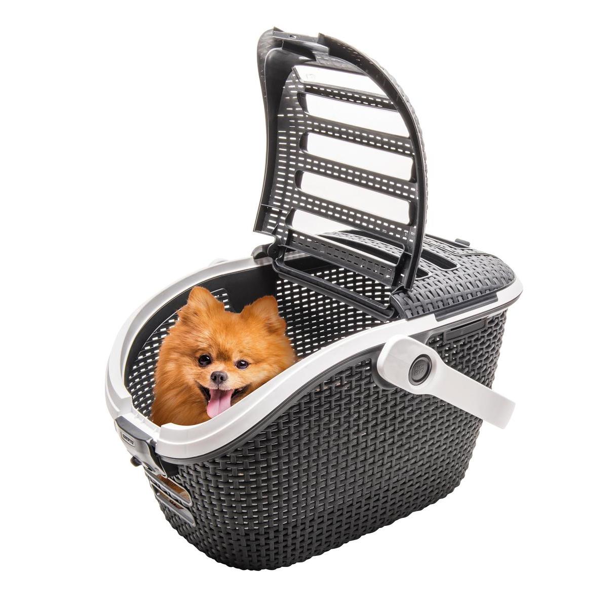 Panier De Transport Chien Ou Chat 42 X 33 X 21 Cm Gris Blanc Curver Caisses Et Cages De Transport Pour Chats La Foir Fouille