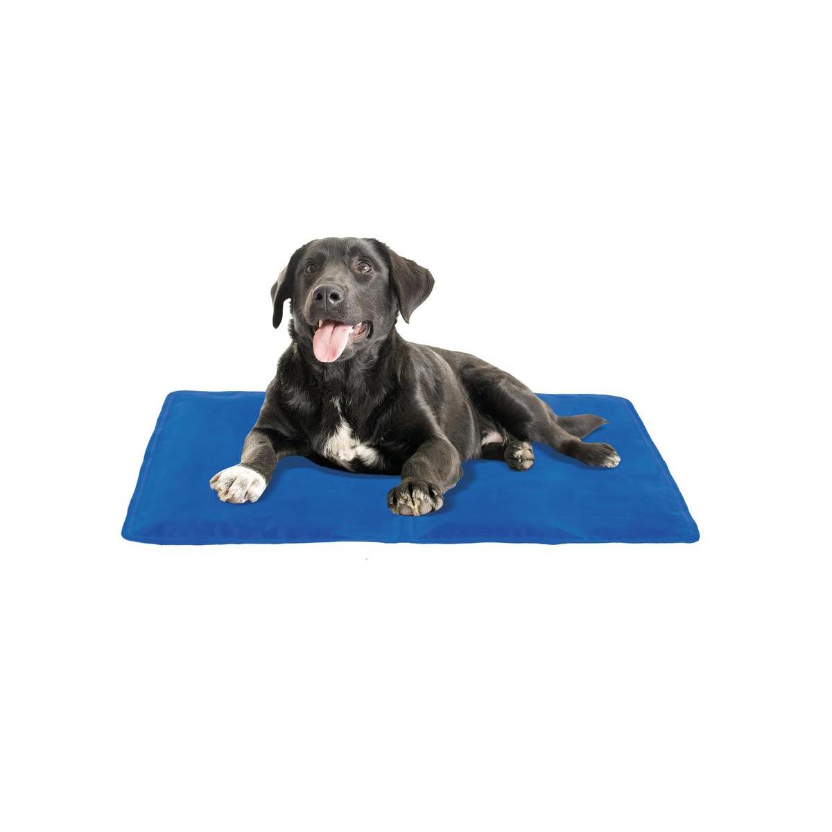 tapis rafraichissant m 50 x 65 cm paniers pour chiens et corbeilles la foir fouille