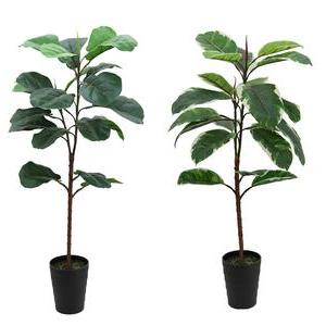 Ficus lyrata `toucher naturel` - H 90 cm - Vert