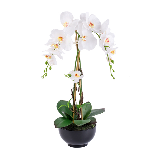 Composition orchidée - Polyester, plastique et céramique - Ø 30 x H 68 cm - Blanc Composition orchidée - Polyester, plastique et céramique - Ø 30 x H 68 cm - Blanc
