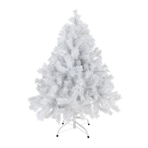 Sapin Blanc Sapins De Noel La Foir Fouille