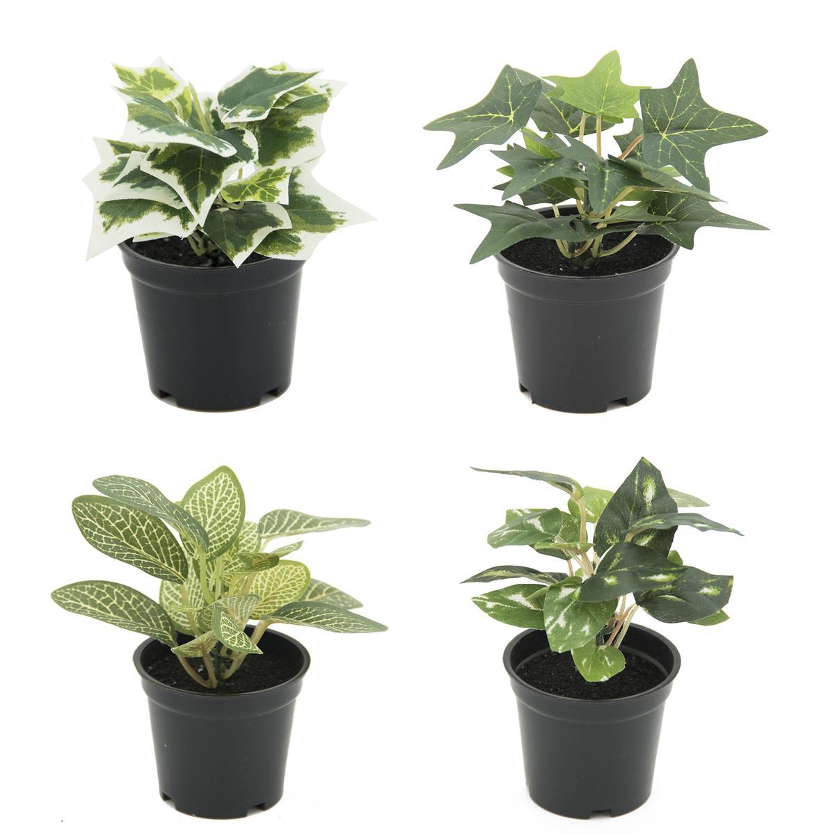 Mini feuillage en pot - H 11 cm - Vert, Noir Mini feuillage en pot - H 11 cm - Vert, Noir