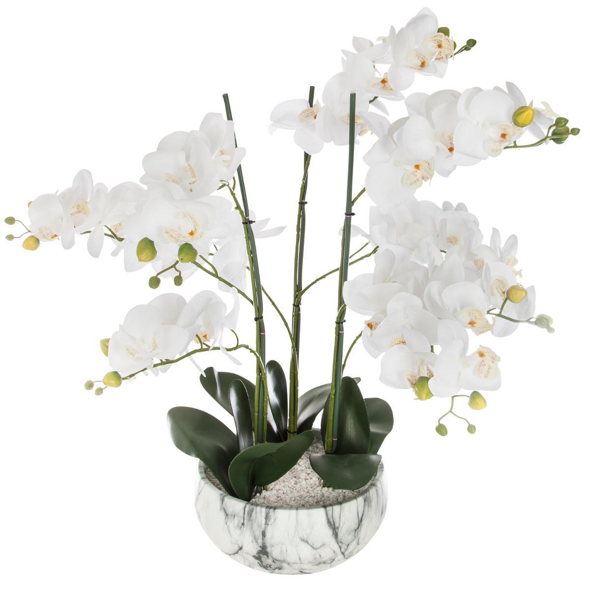 Orchidee pot ciment marbre h65