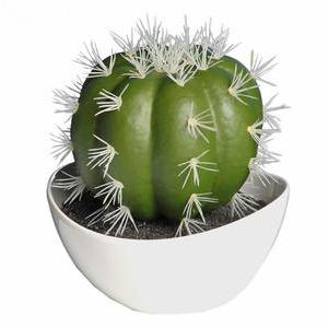 Coupe avec un cactus - diamètre 14 x H 16 cm - vert, blanc