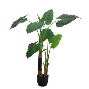 Plante philodendron 2 troncs - 120 cm