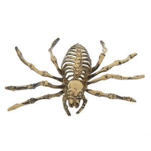 SQUELETTE ARAINGEE 18CM