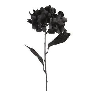 Tige d`Hortensia - H 68 cm - Noir
