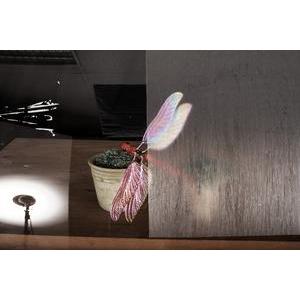 Film statique Woody - L 60 cm - Transparent