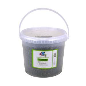 Graines de tournesol en seau - 2 Kg - Transparent