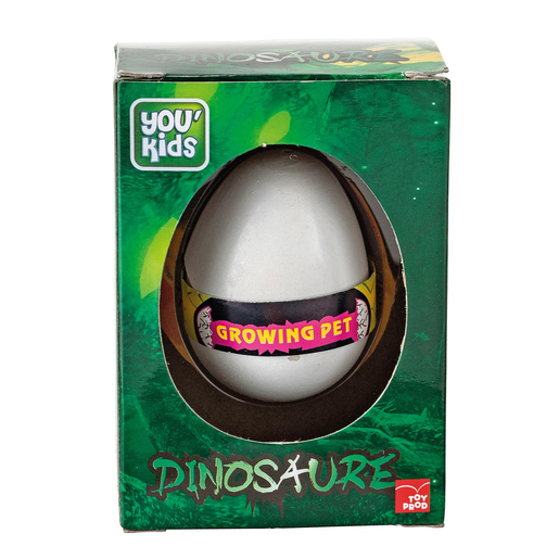 œufs De Dinosaure Plastique Et Platre Multicolore Jouets