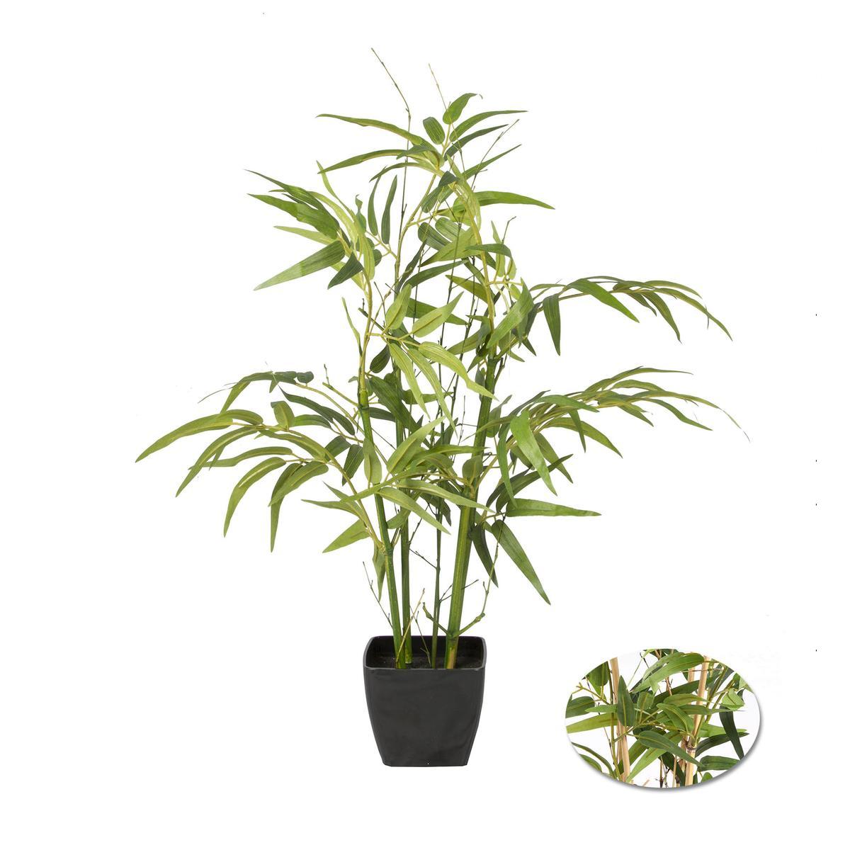 Bambou Branche verte pot plastique noir - H 70 cm