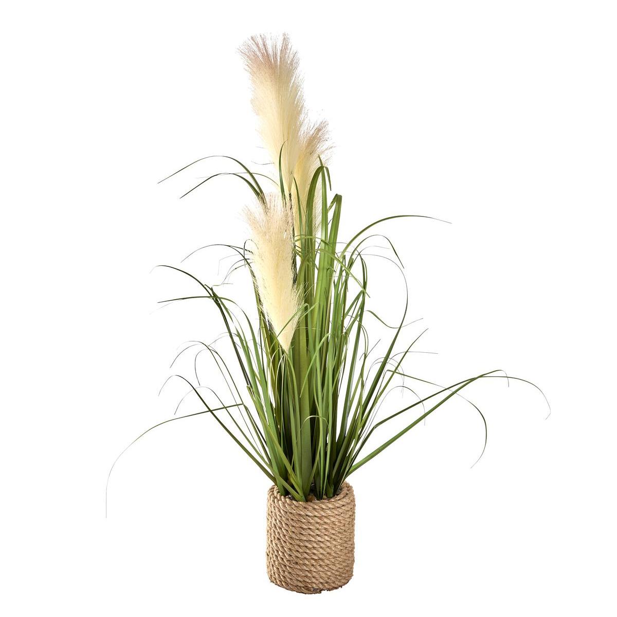 Graminées et plumeaux en pot - ø 13 x H 80 cm Graminées et plumeaux en pot - ø 13 x H 80 cm