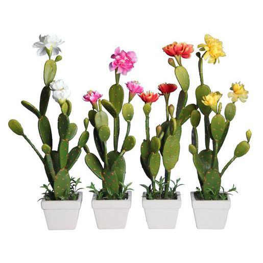 Résultat de recherche d'images pour "pot en ceramique avec cactus"
