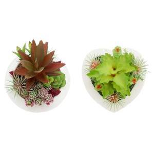 Jardinière de succulentes cœur - H 11 cm - Vert