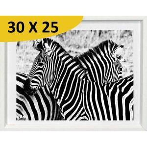 Tableau Zèbre - L 25 x P 1.5 x l 30 cm - Noir, blanc - VUE SUR IMAGE