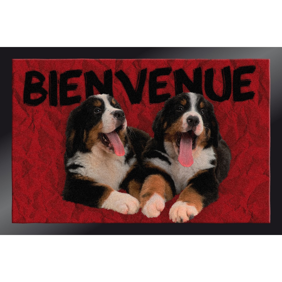 Tapis d'intérieur anti-poussière Decocity - 40 x 60 cm - Thème chien