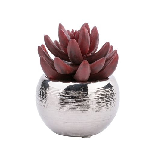 Plante grasse artificielle en pot - Plastique et céramique - 2 tailles - Rouge et gris Plante grasse artificielle en pot - Plastique et céramique - 2 tailles - Rouge et gris
