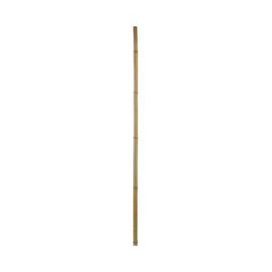 Bambou décoratif - H 120 cm - Marron