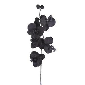 Tige d`Orchidées - H 70 cm - Noir